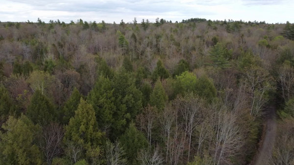 Maine land, arial with road