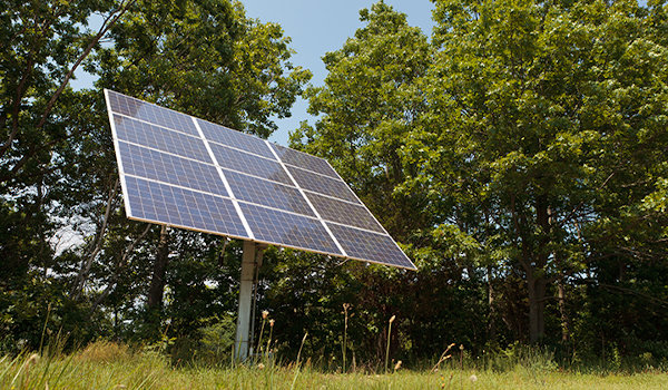 Solar panel woods