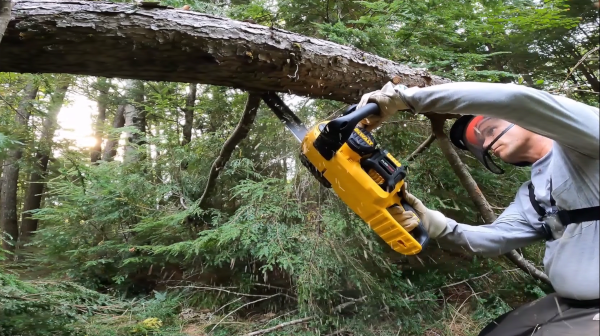 Limbing downed tree